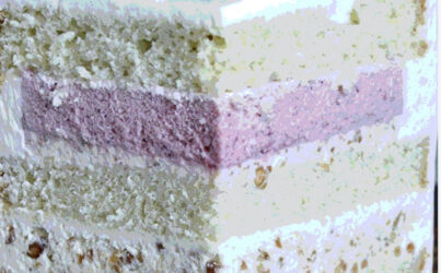 #F11. Coconut berry mousse