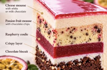 Flavors mousse cake