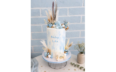 Baby Leo Baby Shower Cake